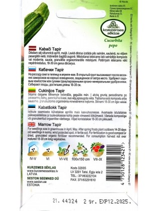 Zucchini 'Tapir' 2 g