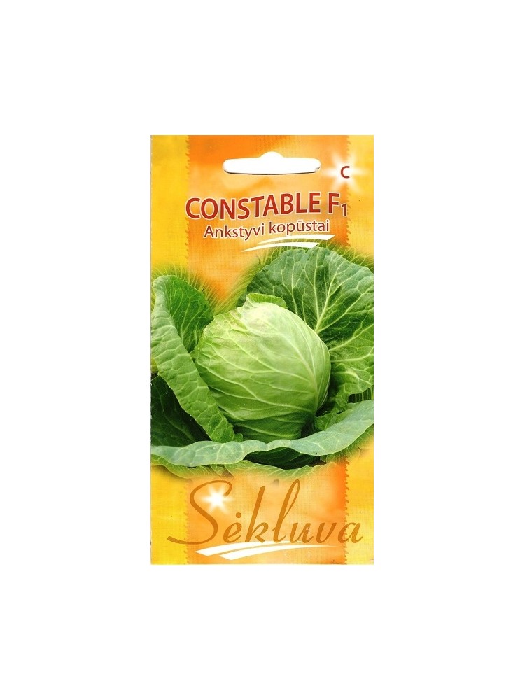 White cabbage 'Constable' H, 40 seeds