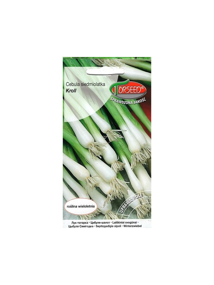 Welsh onion 'Kroll' 0,5 g