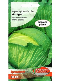 White cabbage 'Amager Polana' 2 g