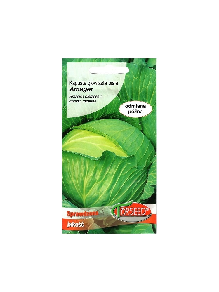White cabbage 'Amager Polana' 2 g