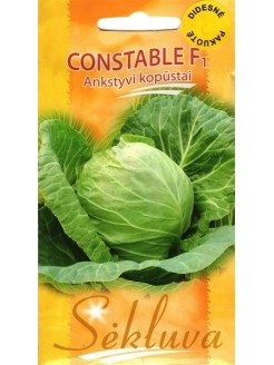 White cabbage 'Constable' H, 500 seeds