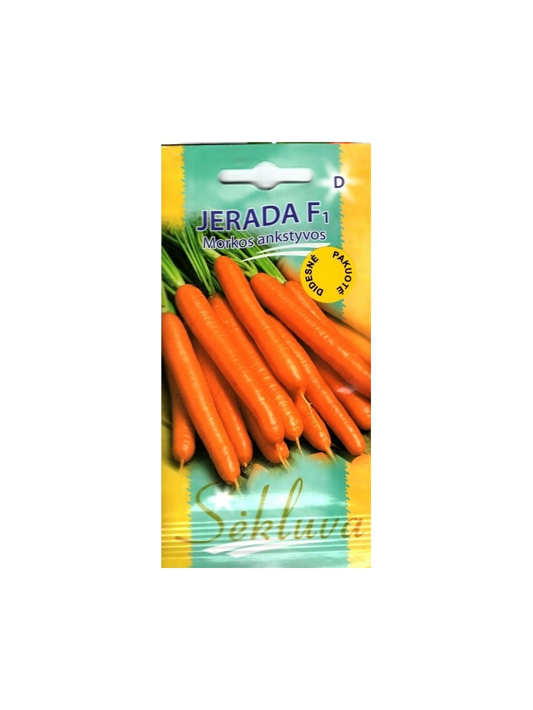 Carrot 'Jerada' H, 5000 seeds