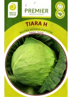 White cabbage 'Tiara H' , 30 seeds