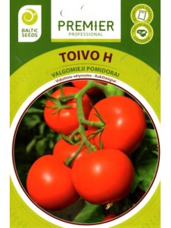 Tomat 'Toivo' H, 10 seemned