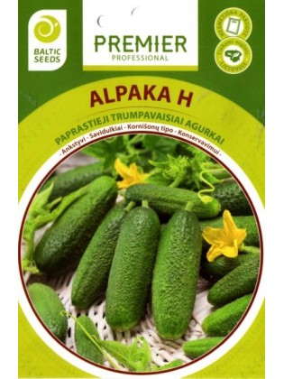 Gherkin 'Alpaka' H, 20 seeds
