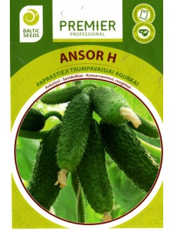 Gherkin 'Ansor' H, 20 seeds