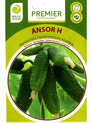 Cornishon' 'Ansor' H, 20 graines