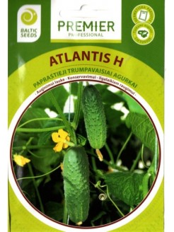 Огурец 'Atlantis' H, 60 семян