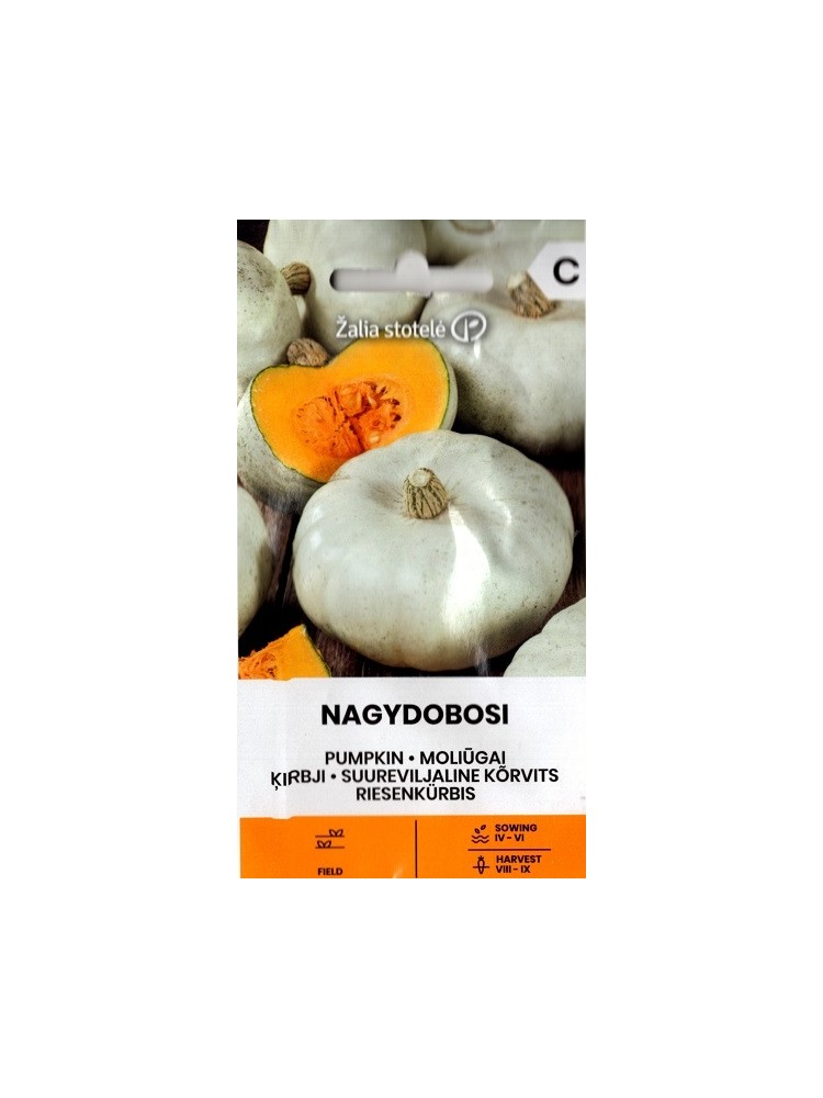 Squash 'Nagydobosi' 2 g