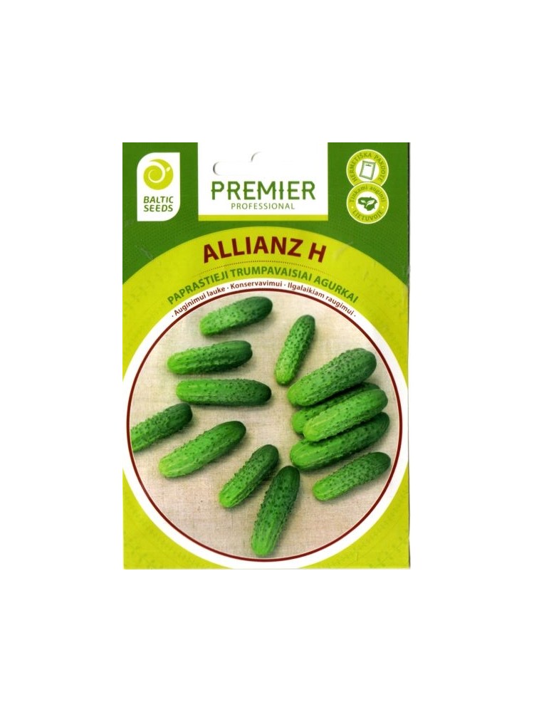 Gherkin 'Allianz' H, 60 seeds