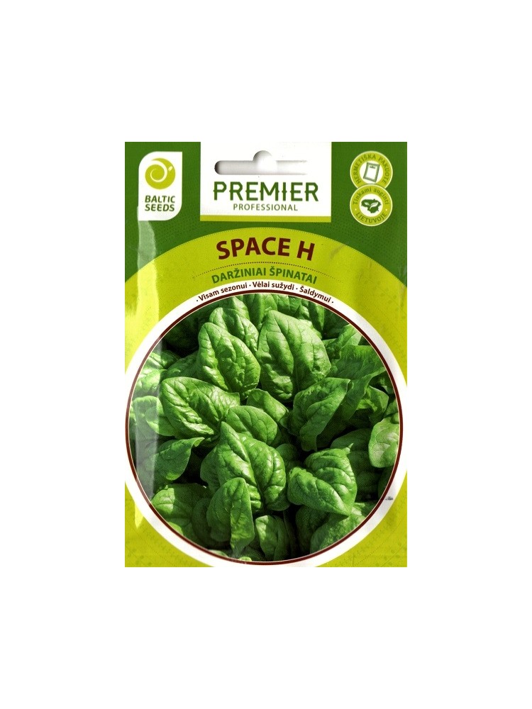 Spinach 'Space H' , 300 seeds