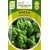 Spinach 'Space' H, 300 seeds