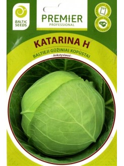 White cabbage 'Katarina H', 30 seeds