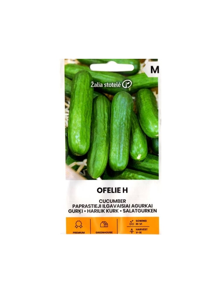 Cucumber 'Ofelie' H, 10seeds