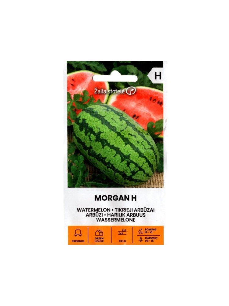 Арбуз обыкновенный 'Morgan' H, 5 семян
