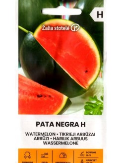 Арбуз обыкновенный 'Pata Negra' H, 5 семян