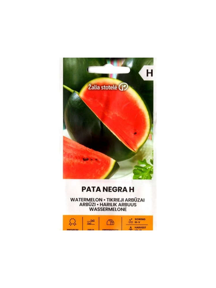 Wassermelone 'Pata Negra' H, 5 Samen