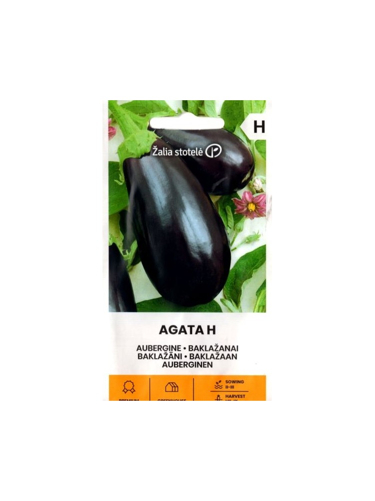Aubergine 'Nero 'Agata' H, 0,1 g