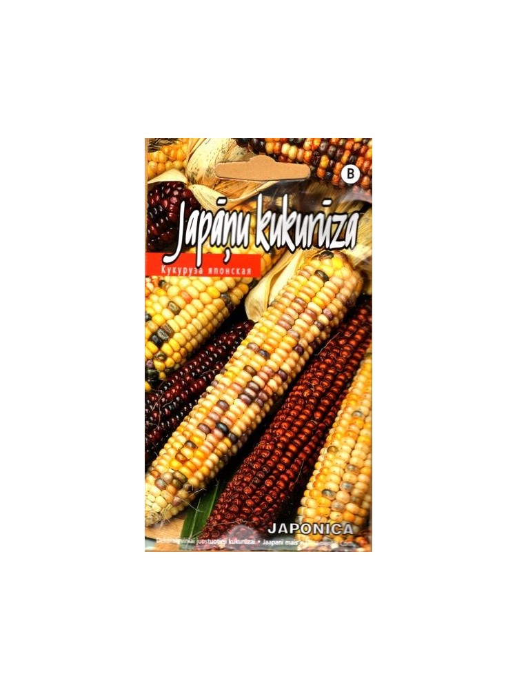 Striped maize 2 g