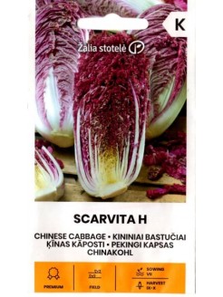 Chou de Chine 'Scarvita' H, 12 semences