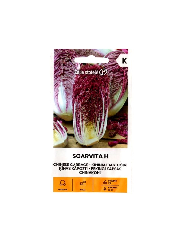 Pak choi  'Scarvita' H, 12 seeds