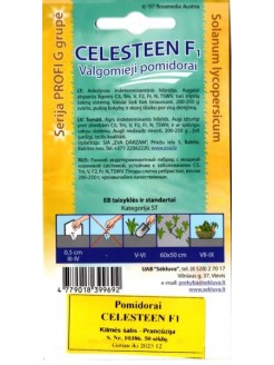 Pomodoro 'Celesteen' H, 100 semi