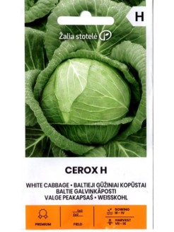 Chou cabus blanc 'Cerox' H, 0.1 g