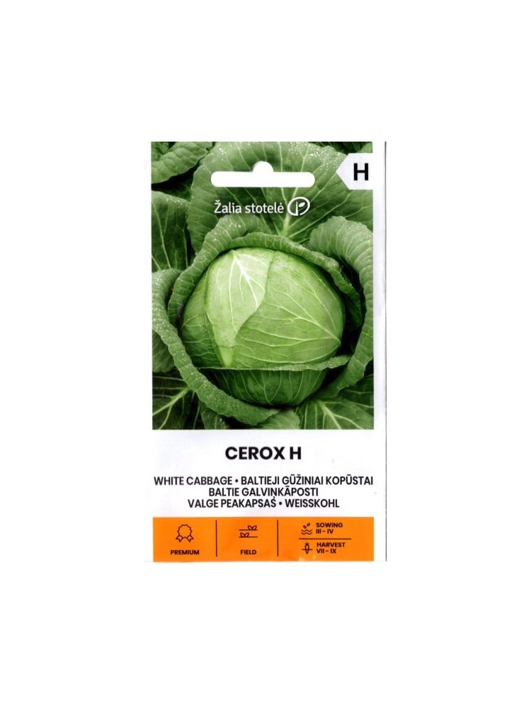 Cavolo cappuccio 'Cerox' H, 0,1 g