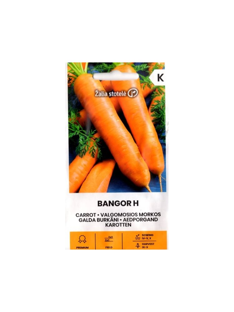 Carrot 'Bangor' H, 1 g