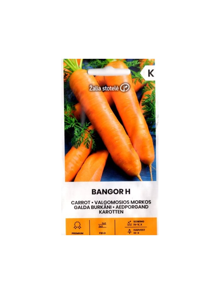 Морковь посевная 'Bangor' H, 1 г