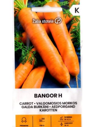 Carrot 'Bangor' H, 1 g