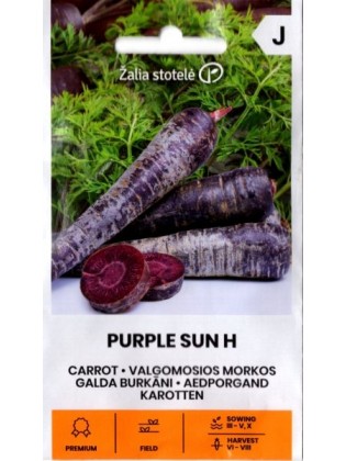 Carrot 'Purple Sun' H, 0,5 g
