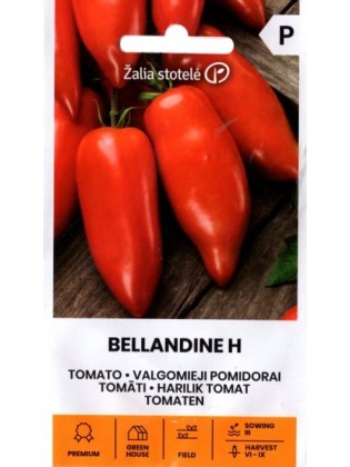 Tomat 'Bellandine' H, 7 seemet