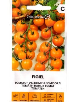 Pomidorai valgomieji 'Figiel' 0,1 g