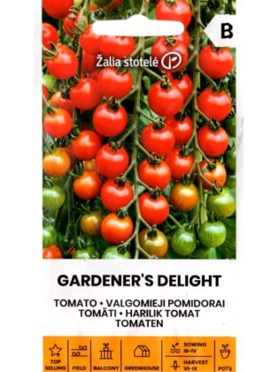 Harilik tomat 'Gardener's Delight' H 0,1 g