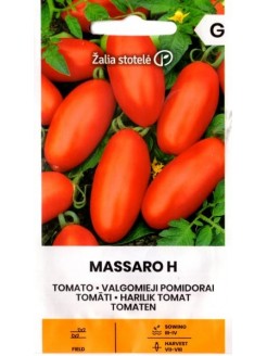 Pomodoro 'Massaro' H, 20 semi