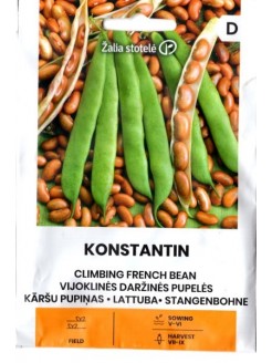 Common bean 'Konstantin' 15 g