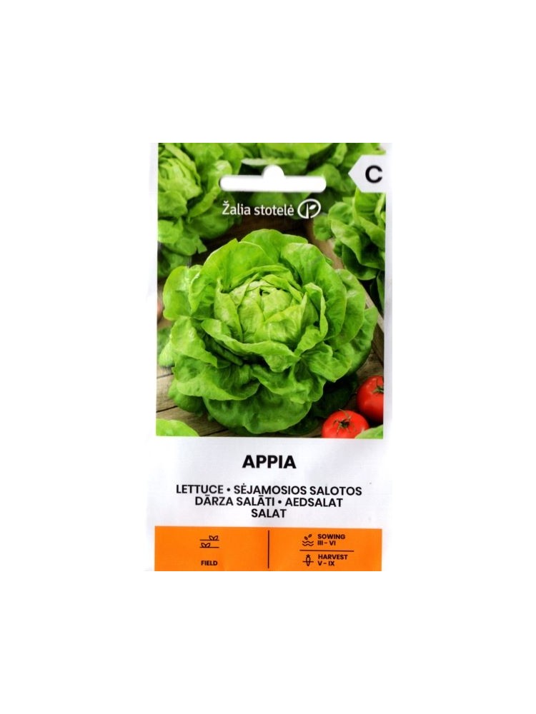 Dārza salāti 'Appia' 1 g