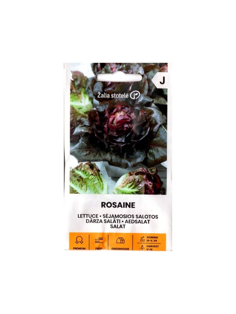 Lettuce 'Rosaine' 20 seeds