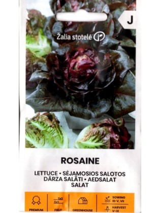 Gartensalat 'Rosaine' 20 Samen