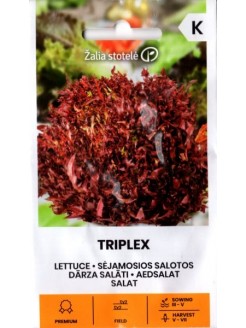 Салат 'Triplex' 20 семян