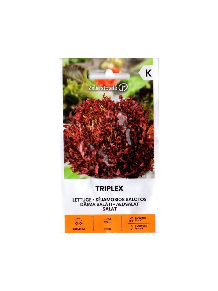 Lettuce 'Triplex' 20 seeds