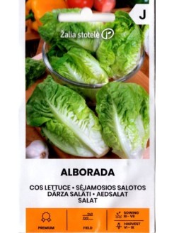 Lettuce 'Alborada' 20 seeds