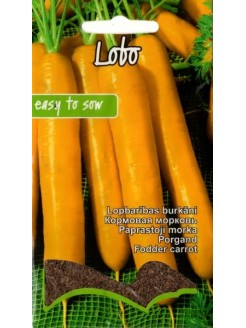Carrot 'Lobo'