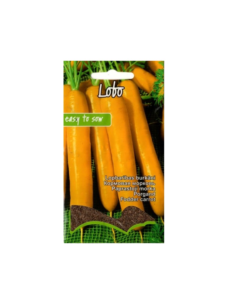 Морковь посевная 'Lobo'