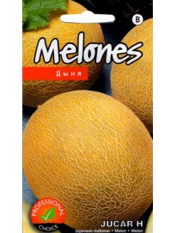 Melone 'Jucar' H, 5 Samen