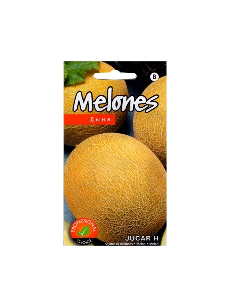 Melone 'Jucar' H, 5 sēklas