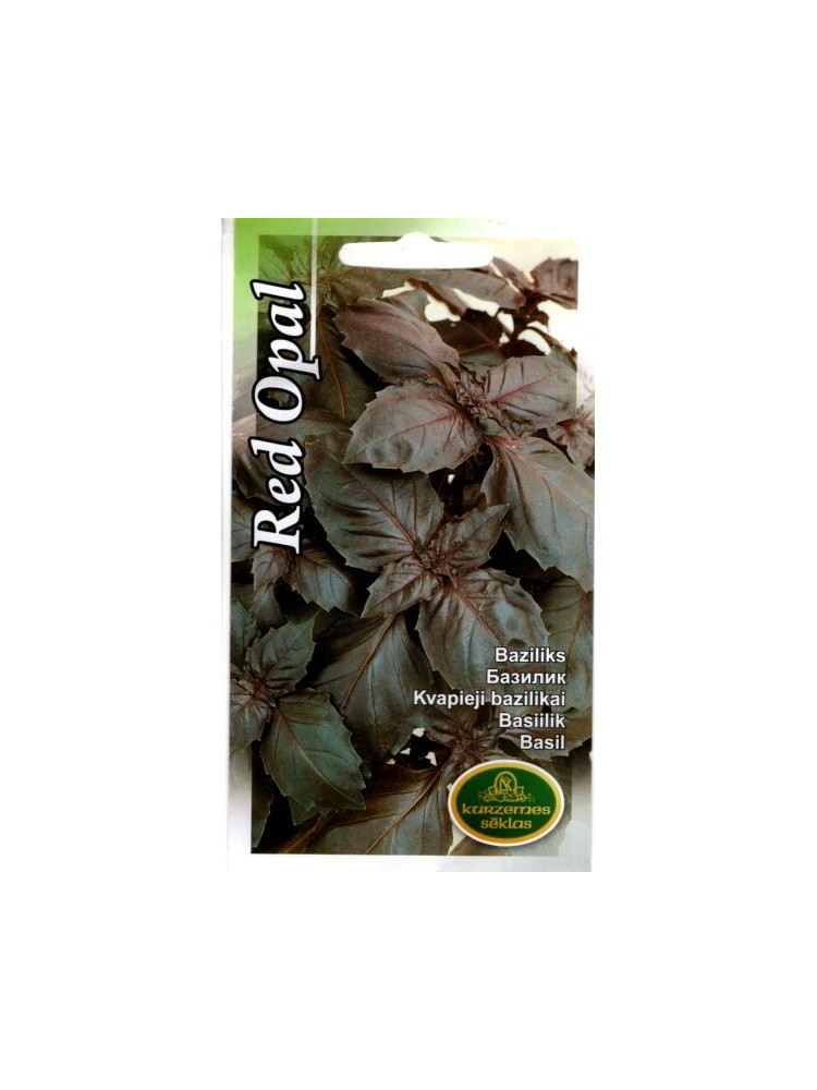 Sweet basil 'Red Opal' 1 g