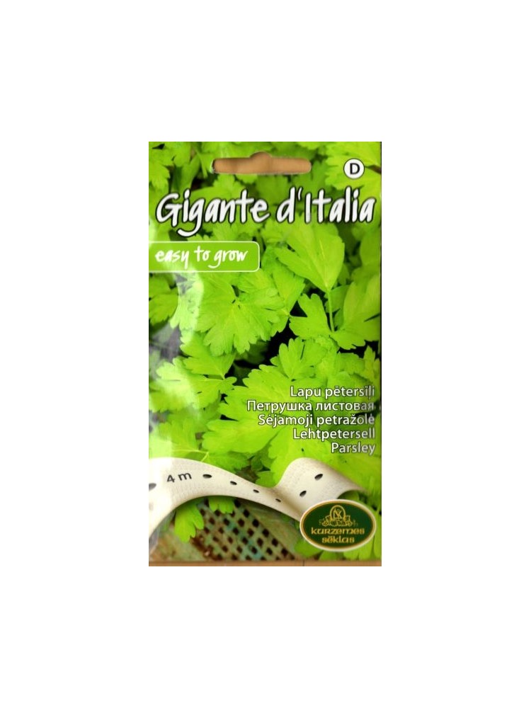 Petersilie 'Gigante d'Italia' 4 m